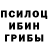 Псилоцибиновые грибы прущие грибы Susan Eliot