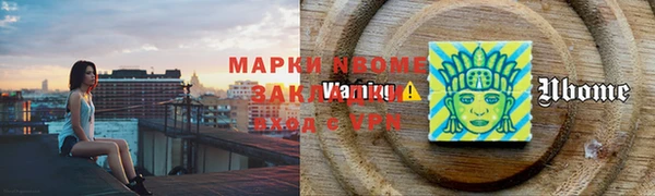 шишки Чердынь