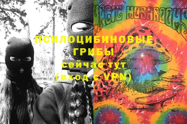 марки lsd Инсар
