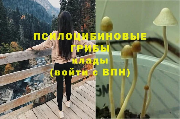 марки nbome Иннополис