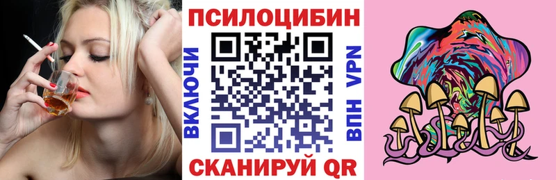 Купить закладки  Нязепетровск  Галлюциногенные грибы Psilocybe 